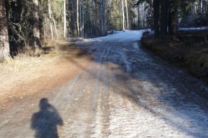 Bare spot on the Outhouse