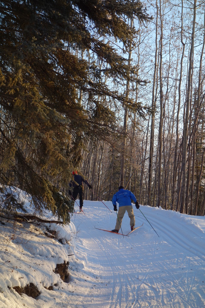 Poles &amp; Dermot on Sonot Connector