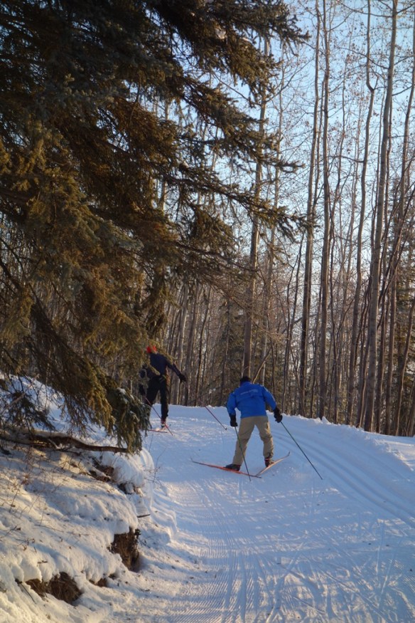 Poles &amp; Dermot on Sonot Connector