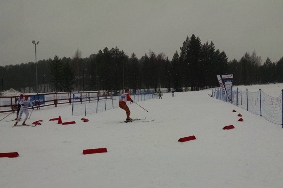 Bad Bob in action sm