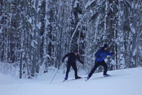 Sonot Connector sm.JPG