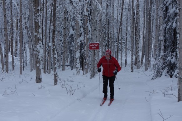 Poles at end of north classics ski sm