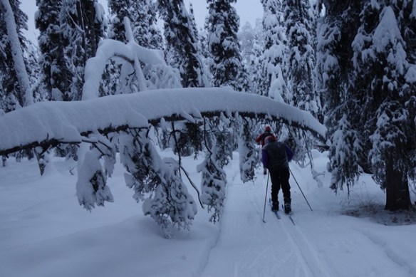 Skiing through -25 deg F new snow sm