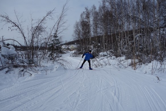 FWW trail over pond area between ski area and Ski Road sm