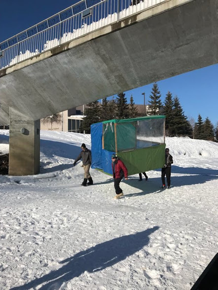 Timing shelter done for this year