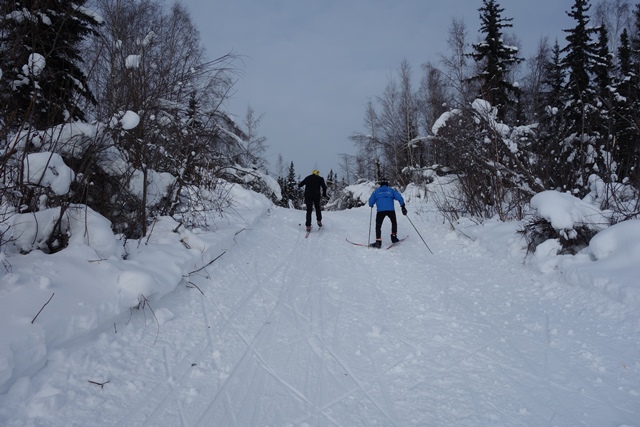 trail to 20 km turnaround from Chena River sm