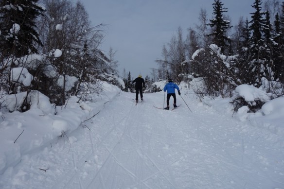 trail to 20 km turnaround from Chena River sm