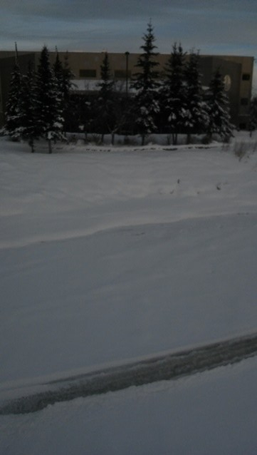 Sonot start area 2-20-19