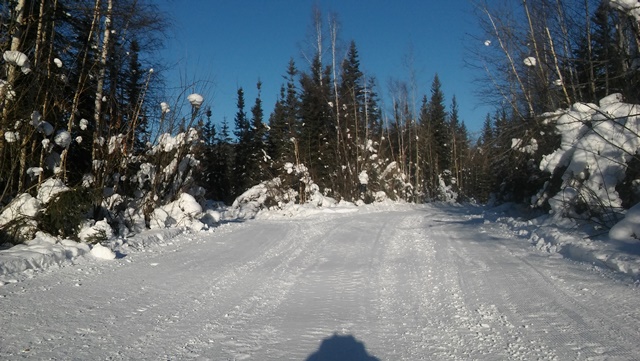 20 km turnaround on 1 March sm