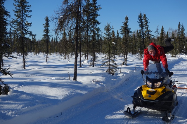 Bad Bob grooming turnaround sm