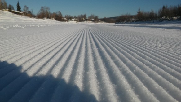 Chena River cordoroy.jpg