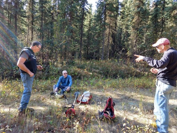 working hard or hardly working.jpg