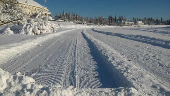 Chena River 2-15-20 sm at Hamilton Acres