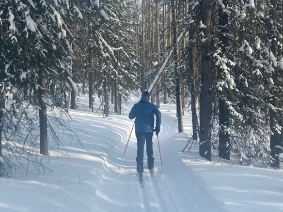Bernardo on Black Hawk sm