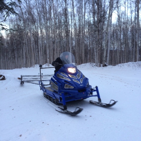 BILL HUSBY DRAGING THE WHITE BEAR sm
