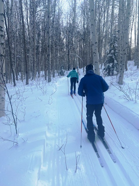 North Star tracks sm