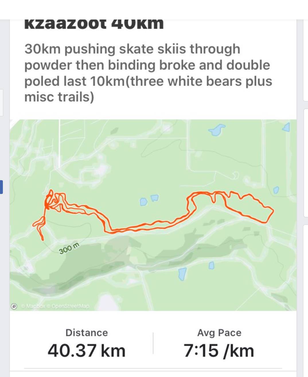 Screen Shot 2020-03-21 at 8.07.18 PM copy