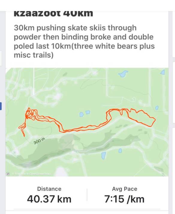 Screen Shot 2020-03-21 at 8.07.18 PM copy